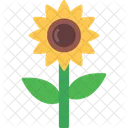 Girasol  Icono