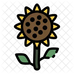 Girasol  Icono