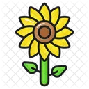 Girasol Flor Naturaleza Icon