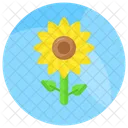 Girasol Flor Naturaleza Icon