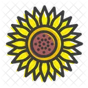 Girasol Flor Crisantemo Icono