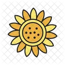 Girasol Flor Florecer Icono