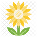 Girasol  Icono