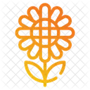 Girasol  Icon