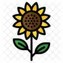 Girasol  Icono