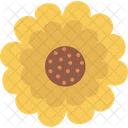 Girasol  Icono