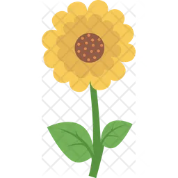 Girasol  Icono