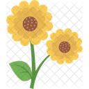 Girasol  Icono