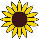 Girasol Sin Rama Flor Unica Girasol Sin Tallo Icono