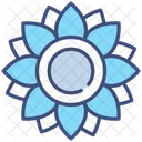 Girasole Icon