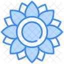 Girasole Icon