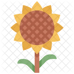 Girasole  Icon