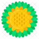 Girasoles Arbol Planta Icono