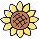 Girassol Floral Flor Icon