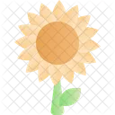 Primavera Estacao Flor Do Sol Icon