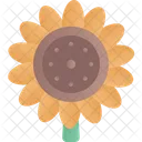 Flor Do Sol Floral Natureza Icon