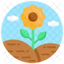 Floral Natureza Girassol Icon