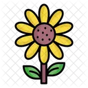 Girassol Flor Natureza Icon