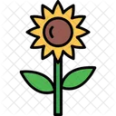 Girassol Flor Natureza Icon