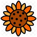 Flor Do Sol Flor Natureza Icon