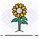 Flor Do Sol Flor Natureza Icon