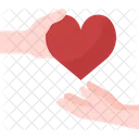 Give Donation  Icon