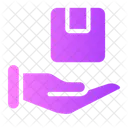 Give Package  Icon