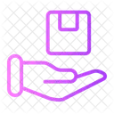 Give Package  Icon