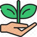 Give Plant  Icon