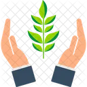 Give plant  Icon