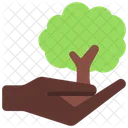 Give Tree Give Tree Icon