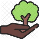 Give Tree  Icon