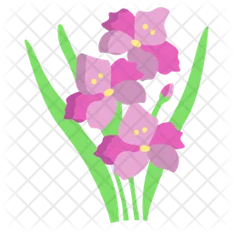 Gladiole  Symbol