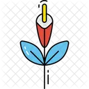 Gladiole Blume Symbol