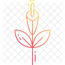 Gladiole Symbol