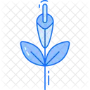 Gladiole Symbol