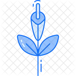 Gladiole  Symbol