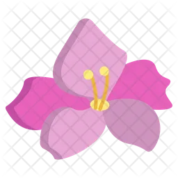 Gladiole  Symbol