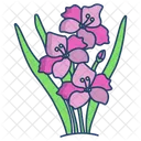 Gladiolus  Icon