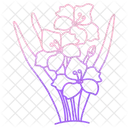 Gladiolus  Icon