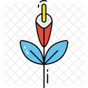 Gladiolus Flower Icon