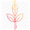 Gladiolus Symbol