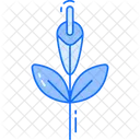 Gladiolus Icon
