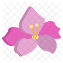 Gladiolus Flower Flowers Icon