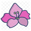 Gladiolus Flower Flowers Symbol