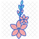 Gladiolus  Symbol