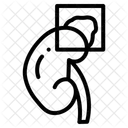 Organe Icône