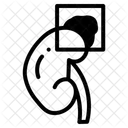 Organe Icône