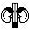  Icône