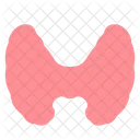 Glands system  Icon